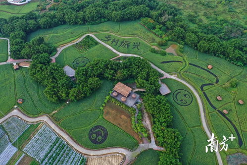 从化区被选为全国唯一的县域土地综合整治试点