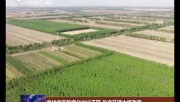 吉林省实施绿化治沙工程 生态环境大幅改善