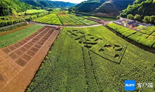 2024甘肃生态环保行 甘肃华池县 将红色资源与绿色发展相结合 为当地发展注入了新活力